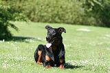 BEAUCERON 959